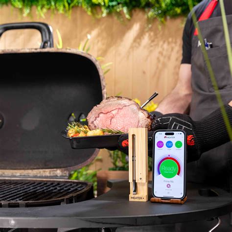 Traeger Meater Plus Smart Wireless Meat Thermometer RT1 MT MP01 Réno