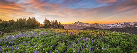 Andy Porter Images Prints Classes And Photo Tours