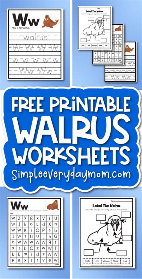 Walrus Worksheets For Kids [Free Printable]