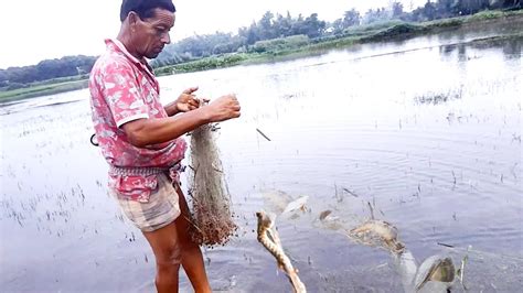 Ameging Net Fishing Video। বৃষ্টিার পরে কারেন্ট জাল দিয়ে সুন্দর একটি