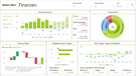 Power Bi Business Dashboards Sehen Erkennen Handeln