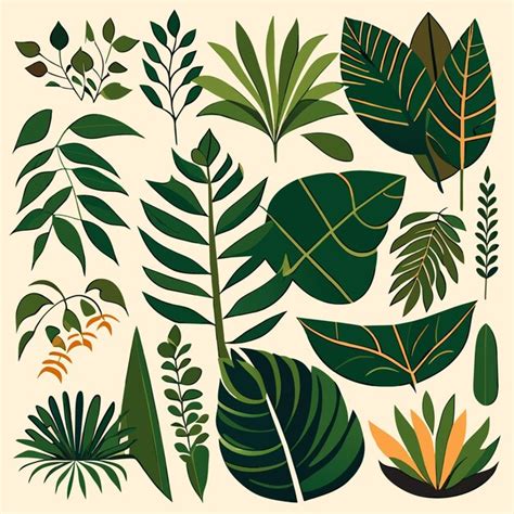 Premium Vector Flat Rainforest Leaf Illustrations Handdrawn Vector Set