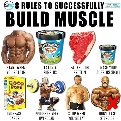 10 Rules For Building Muscles On Bulking Phase