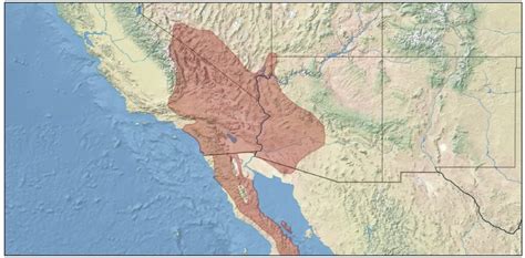 6 Types Of Rattlesnakes In Nevada Id Guide Bird Watching Hq