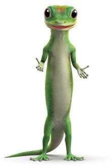 Clothes Of Geico Gecko Meme