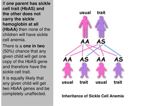 Sickle Cell Disease Inheritance