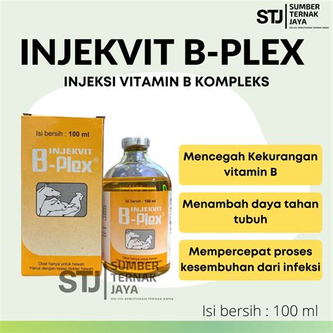 Jual Injekvit B Plex Injeksi Vitamin B Kompleks Isi 100 Ml Untuk Hewan