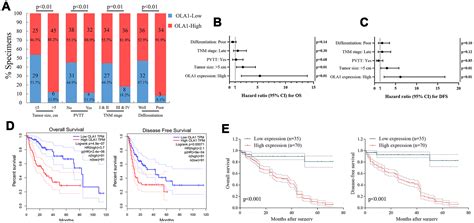 Obg Like Atpase 1 Ola1 Overexpression Predicts Poor Prognosis And