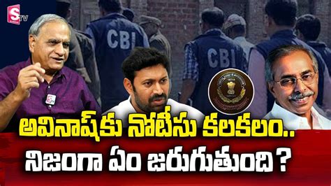 Telakapalli Ravi About Cbi Summons Kadapa Mp Ys Avinash Reddy Over Ys Vivekananda Reddy Ap