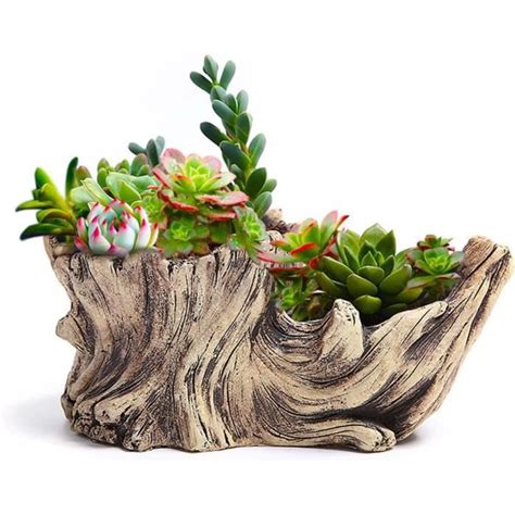 Pot De Fleurs En R Sine Pour Plantes Succulentes Souche De Bois