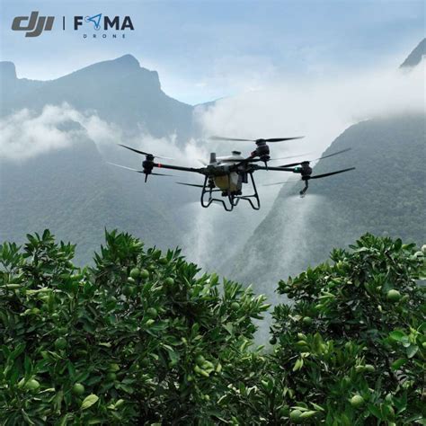 Dji Agras T Famadrone