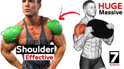 How To Build Your Shoulder Fast 7 Effective Exercises تمارين الكتف