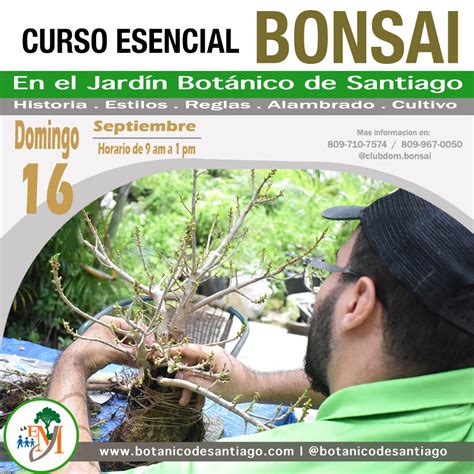 Curso Esencial Bonsai Jardín Botánico Prof Eugenio de Js Marcano