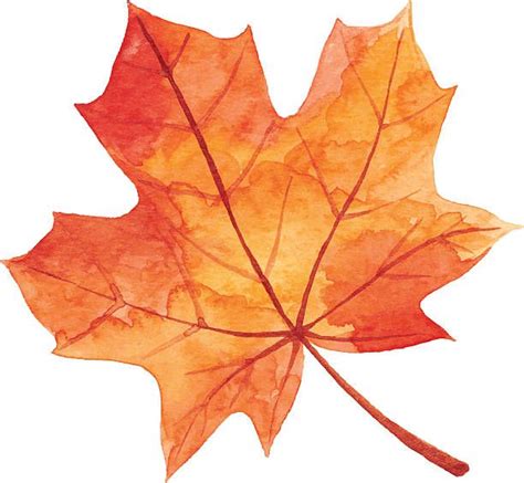 An Orange Maple Leaf Is Shown On A White Background With The Words