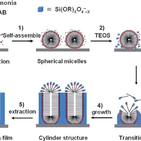 Formation Process Of Ordered Mesoporous Silica Films With Perpendicular