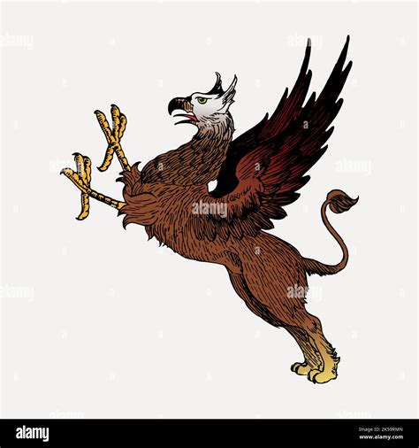 Griffin Clipart Vintage Hand Drawn Vector Stock Vector Image And Art Alamy