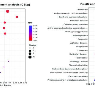 GO Classification Of Functional Pathways A Up Regulated Genes B