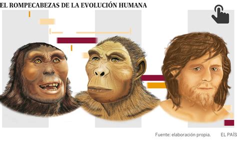 Pileta De Prehistoria Enredos En La Familia Humana