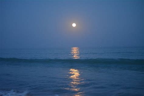 30 무료 Full Moon Beach And 해변 이미지 Pixabay