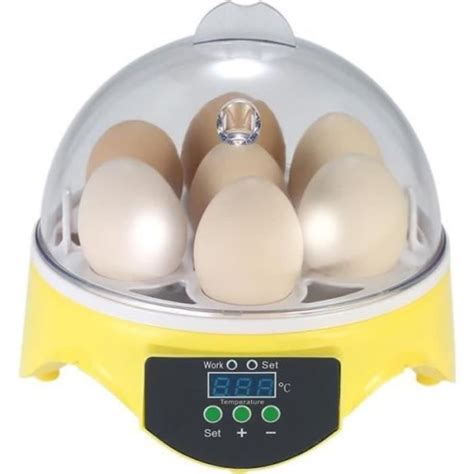 COUVEUSE INCUBATEUR Mini Digital Incubateur D Oeufs 7 Eggs Machine