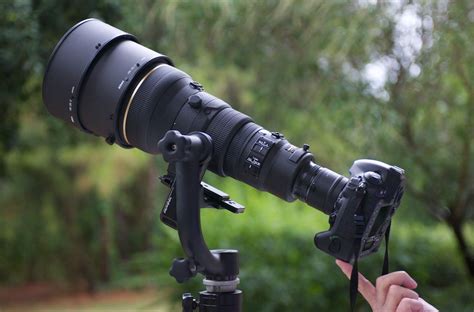 A Gimbal Head An Essential Tool For Bird Photography Bob Rehak