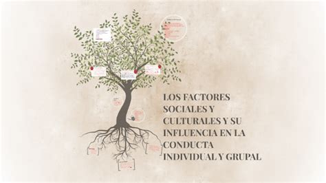 LOS FACTORES SOCIALES Y CULTURALES Y SU INFLUENCIA EN LA CON By