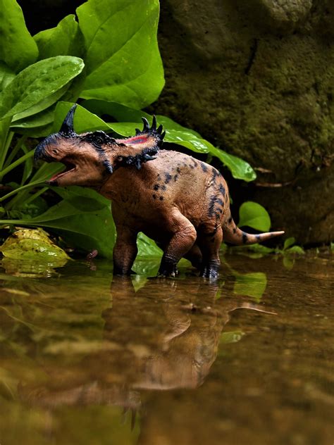 Sinoceratops By Zoome3 On Deviantart