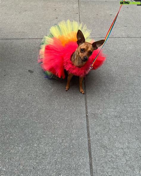Lea Delaria Instagram Were Here Were Queer Were Still Eating Pussy Fuckyeahnycpride