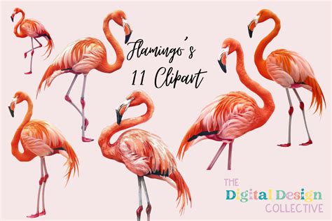 Flamingo Clipart Png Bundle Graphic By Lizballew Creative Fabrica