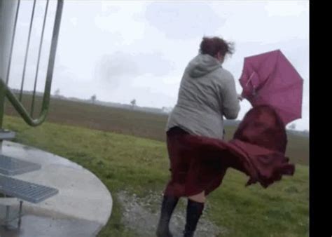 12 People Struggling Comically With Umbrellas In The Wind Windy