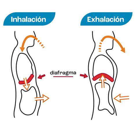 Artículo Respiración diafragmática Gobierno de Córdoba