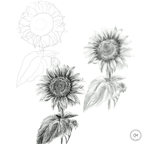 how to draw a the sun 2