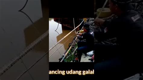 Mancing Udang Galah Babon Shorts YouTube