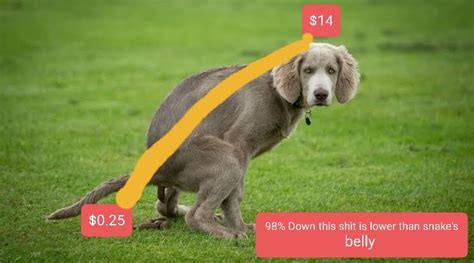 Z1p The Dog Shit Chart Rasxbets