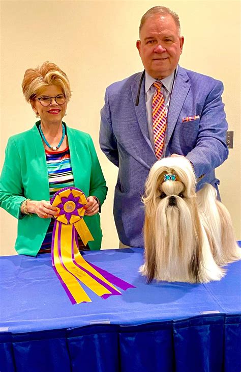 American Shih Tzu Club National Saturday April Canine