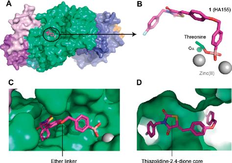 Figure From Structure Based Design Of Novel Boronic Acid Based