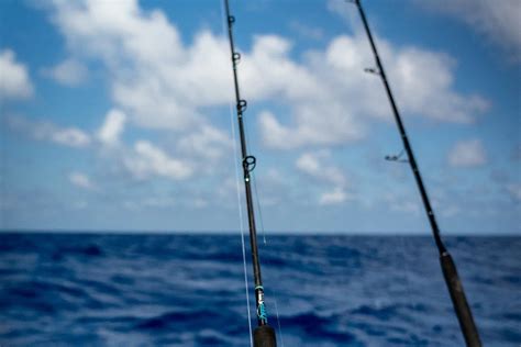 Deep Sea Fishing Rods Your Ultimate Guide