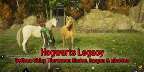 Hogwarts Legacy Guide Seltene Shiny Tierwesen Finden Einfangen Und