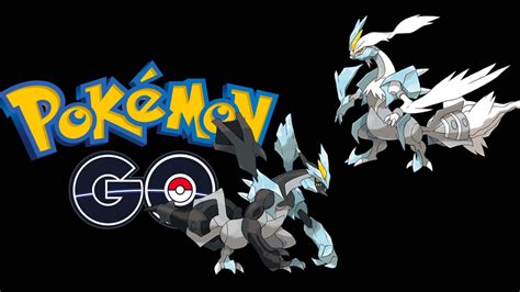 The White Kyurem Black Kyurem Incident In Pok Mon Go