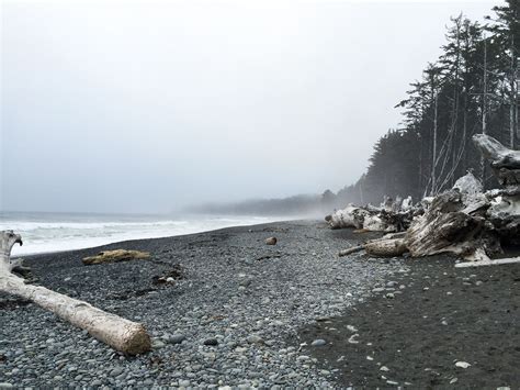 Rialto Beach At Olympic National Park Catlories