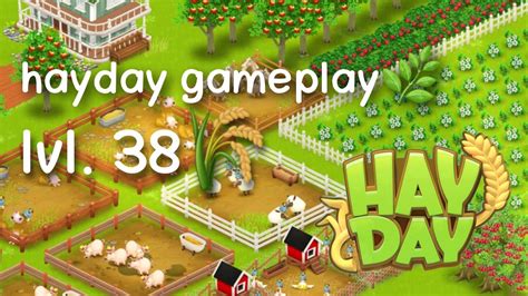 Hay Day Gameplay Lvl 38 YouTube