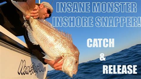 Insane Monster Inshore Snapper Nonstop Action Catch And Release With