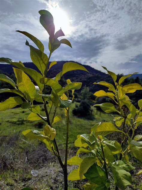 Rejuvenation Hiking Tours Limassol (@CyprusNature) / Twitter