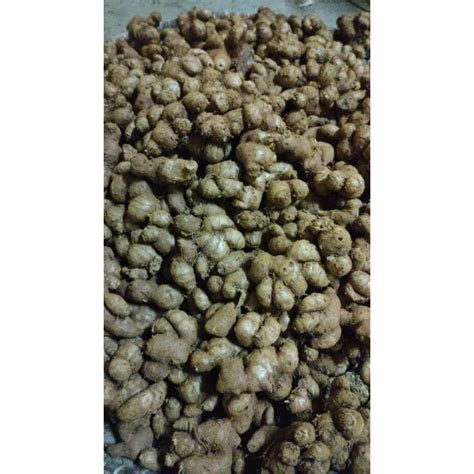 Rizom Kunyit Hitam Black Ginger Thailand Fresh G Shopee Malaysia