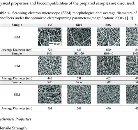 Scanning Electron Microscope Sem Morphologies And Average Diameters