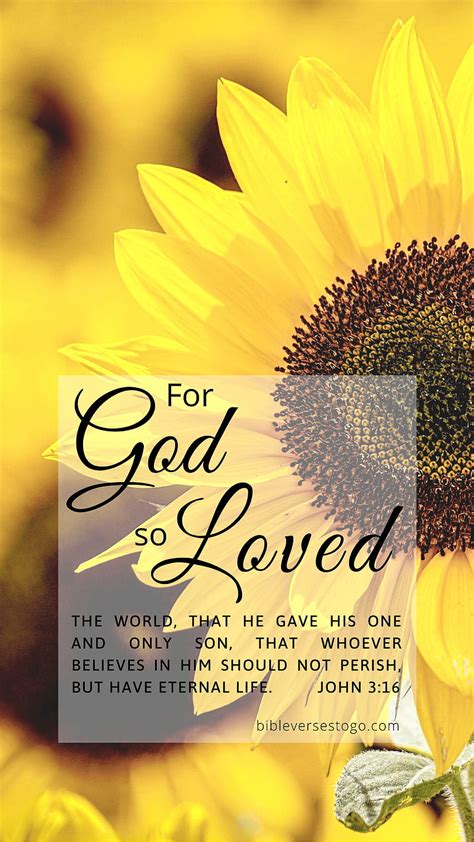 Sunflower John Sunflower Iphone Bible Bible Verse Hd Phone