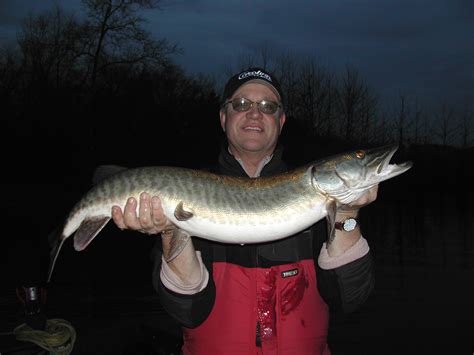 Recent Catches Allegheny Guide Service