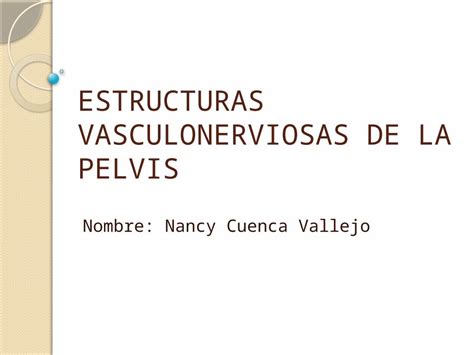 Pptx Estructuras Vasculonerviosas Y Visceras De La Pelvis Pdfslide Net