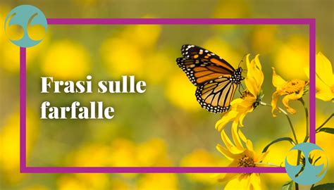 Frasi Sulle Farfalle Citazioni E Aforismi