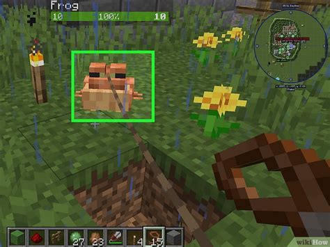 How To Tame A Frog In Minecraft A Guide For Beginners